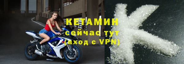 индика Няндома