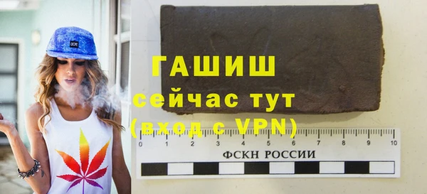 индика Няндома