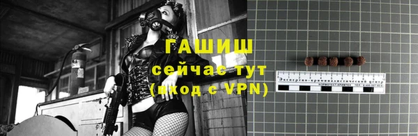 индика Няндома