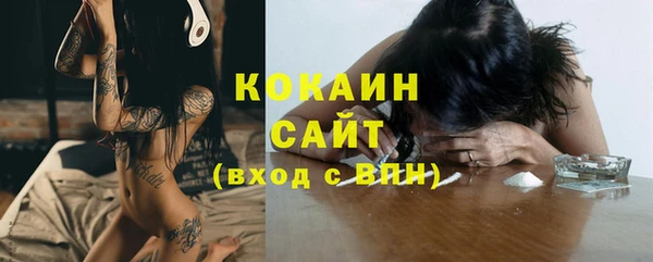 индика Няндома