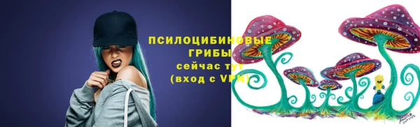индика Няндома