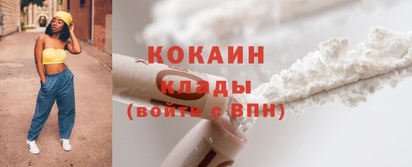 индика Няндома