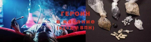 индика Няндома