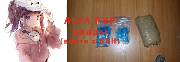 индика Няндома