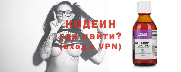 индика Няндома