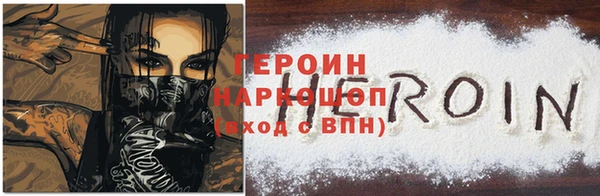 индика Няндома