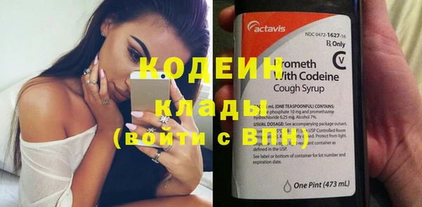 индика Няндома