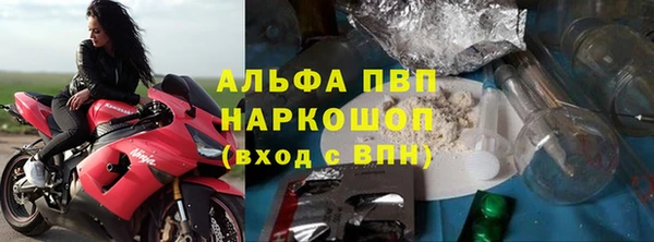 индика Няндома