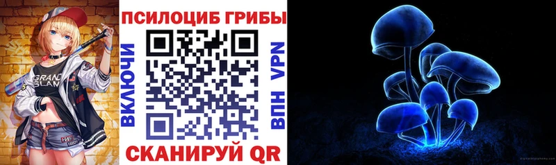 kraken   мориарти телеграм  Галлюциногенные грибы MAGIC MUSHROOMS  Ленск 